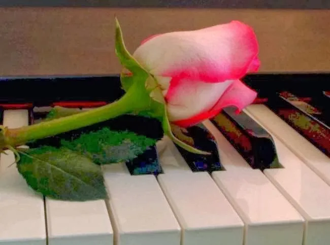 Αξίζει να το διαβάσετε: Μάνα συγγνώμη και… σ΄ευχαριστώ!