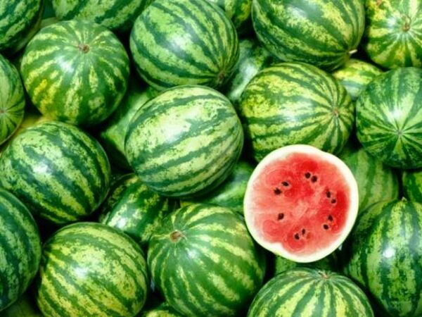 Απίθανο: Αυτό είναι το απόλυτο κόλπο για να διαλέξετε καλό καρπούζι!