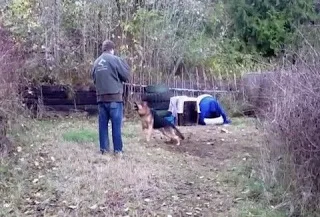 Αξίζει να το δεις! Αυτός ο σκύλος ήταν δεμένος σε όλη του ζωή! ΔΕΙΤΕ τι έγινε μόλις τον ελευθέρωσαν!