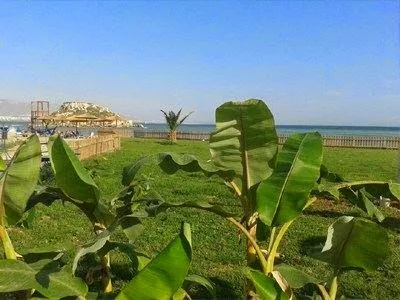 Αυτές είναι οι καλύτερες παραλίες της Αττικής, χωρίς είσοδο