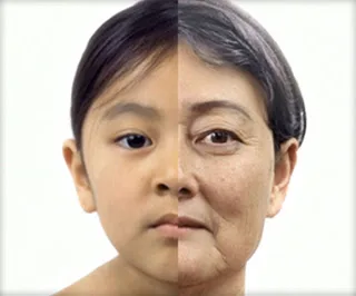 Εντυπωσιακό βίντεο καταγράφει τη διαδικασία της γήρανσης [video]