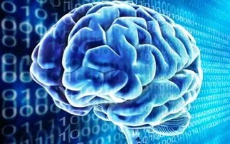 Η περιοχή στον εγκέφαλο που «νιώθει» ότι κάτι κακό πρόκειται να συμβεί