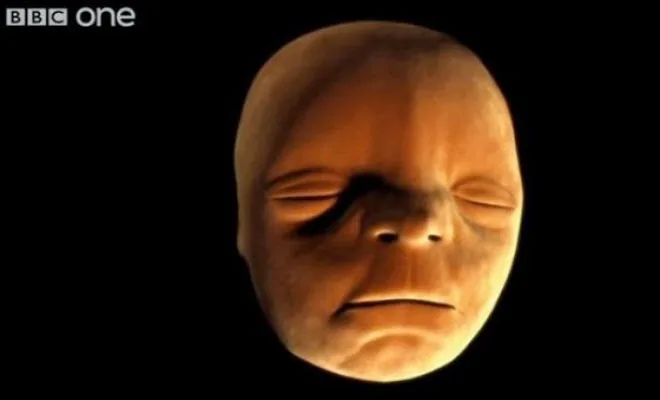 ΣΥΓΚΛΟΝΙΣΤΙΚΟ ΒΙΝΤΕΟ: Δείτε πως παίρνει μορφή το πρόσωπο του παιδιού μέσα στην μήτρα…[video]