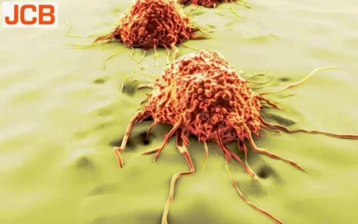 Οι επιστήμονες γνωρίζουν πλέον πώς εξαπλώνεται ο καρκίνος από το ένα όργανο στο άλλο!