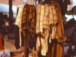 Η κυβέρνηση κατήργησε έναν φόρο! Δείτε ποιον !!!