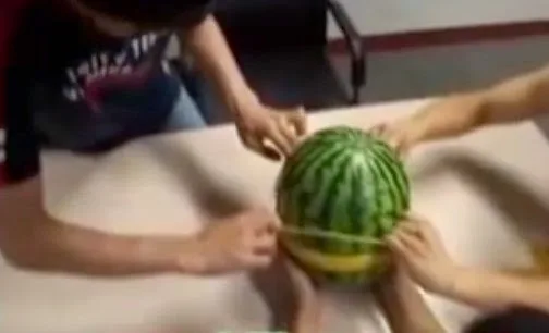 Δείτε τι θα συμβεί αν βάλεις 500 λαστιχάκια σε ένα καρπούζι [video]