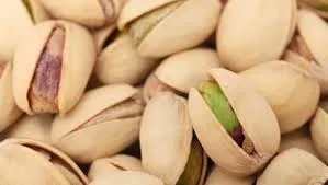 Φυστίκια Αιγίνης θερμαίνουν οικολογική πόλη 200.000 κατοίκων