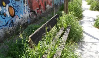 Εικόνες από το 31ο νηπιαγωγείο Τρικάλων – Τα χορτάρια σκέπασαν τα παγκάκια!