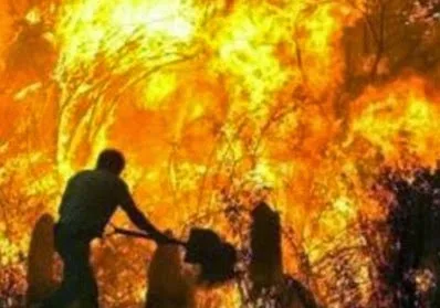 Συγκινητική ιστορία από τα παλιά: Η ηρωική γάτα που πήδηξε 5 φορές στη φωτιά για να σώσει τα μικρά της…[video]