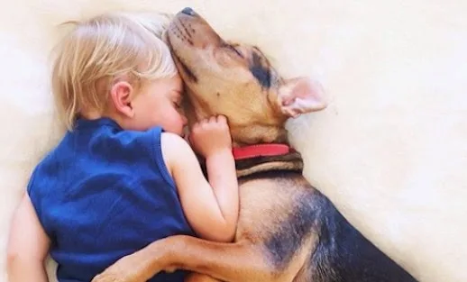 Το κουτάβι… μεγάλωσε και συνεχίζει να κοιμάται με το αγοράκι!