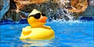 ΠΡΟΣΟΧΗ! Δείτε τι ασθένειες καραδωκούν στις πισίνες!