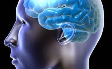 Ποιες λέξεις προκαλούν πόνο στον εγκέφαλο;