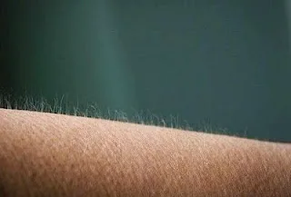 Γιατί σηκώνεται η τρίχα μας όταν αντιμετωπίζουμε ακραίες καταστάσεις;