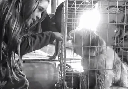 Πριν υποκύψετε στα παρακάλια των παιδιών σας ενημερωθείτε! [video]