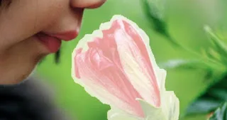 Όσφρηση: Πότε μπορεί να ατονήσει