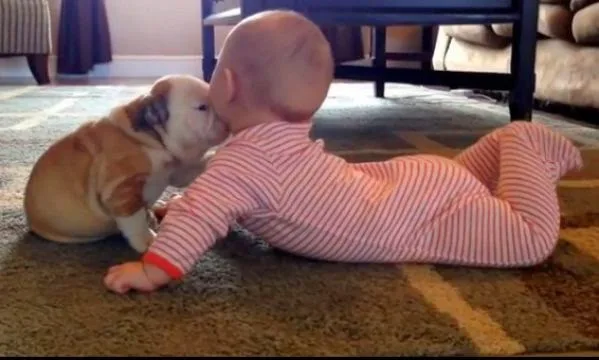 «Επίθεση φιλιών» από κουταβάκι σε μωράκι! [video]