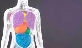 Τι μπορεί να σημαίνουν οι διάφοροι ήχοι του σώματος σας;