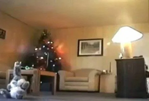 Γι’αυτό ΠΡΕΠΕΙ ΝΑ ΚΛΕΙΝΕΤΕ τα φωτάκια του δέντρου! Δείτε το ΣΟΚΑΡΙΣΤΙΚΟ βίντεο!