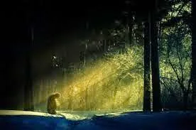 Κουβαλώντας την αμαρτία του άλλου…