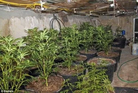 Κοριτσάκι 9 ετών κατέδωσε τους γονείς της στην αστυνομία! Διαβάστεγιατί!