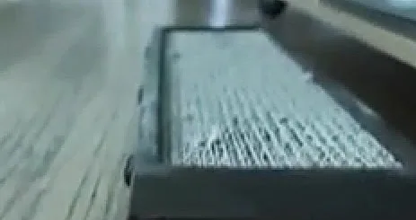 Εντυπωσιακό βίντεο με το πώς βλέπουν τον κόσμο τα ζώα!