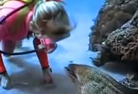 ΑΠΙΣΤΕΥΤΟ !! Δύτης ταΐζει στο στόμα σμέρνα! Δείτε στο βίντεο τι συμβαίνει!