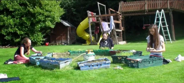 Τρεις 16χρονες που βρήκαν λύση στην παγκόσμια πείνα και κέρδισαν το βραβείο επιστήμης της Google