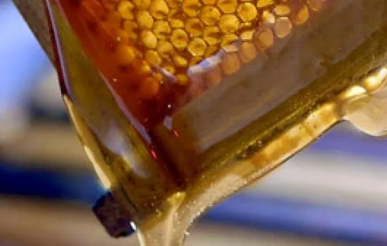 Αυτές είναι οι δέκα τροφές που δεν μπαίνουν ποτέ στο ψυγείο!