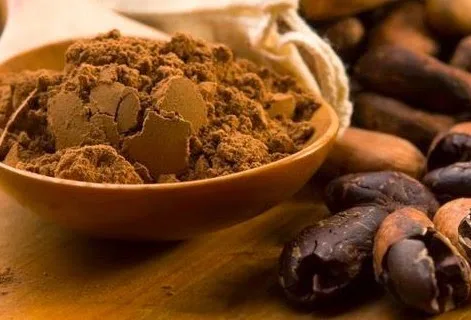 Το κακάο σύμμαχος της μνήμης