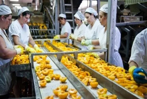 Σκεφτείτε σοβαρά αν θα τα ξαναφάτε: Τα 10 πιο καρκινογόνα τρόφιμα