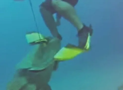 Δείτε τι “κλέβει” πεινασμένος γιγαντιαίος ροφός από ψαροντουφεκά! [video]