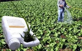 Tα 12 φρούτα και λαχανικά που είναι γεμάτα φυτοφάρμακα!