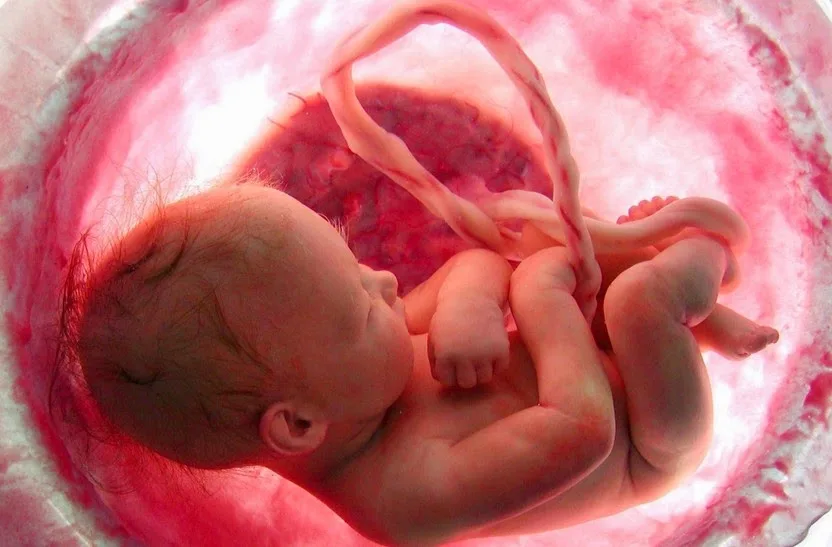 ΑΠΙΣΤΕΥΤΟ ιατρικό θαύμα – Μωρό γεννήθηκε δύο φορές! [video]