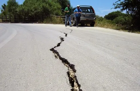 Δείτε πώς φέρονται τα ζώα πριν γίνει σεισμός;