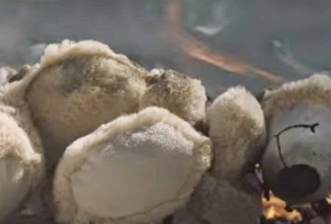 ΣΟΚ: Αυτό το βίντεο πρέπει να το δούνε όλοι… [video]