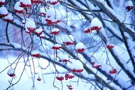 Θα κάνουμε λευκά Χριστούγεννα; Τι λένε οι προβλέψεις για τον Δεκέμβριο