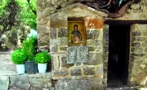 Το ανεξήγητο φαινόμενο με τα δένδρα στη σκεπή της Αγίας Θεοδώρας… [video]