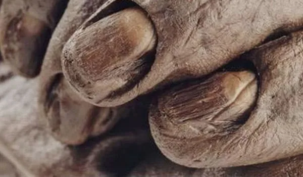 Το πτώμα του βάλτου! Το έγκλημα μυστήριο που παραμένει ανεξιχνίαστο