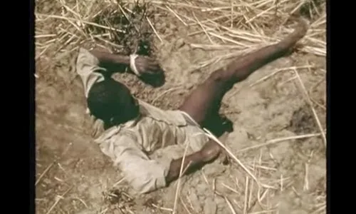 Έβαλαν άνθρωπο – δόλωμα για να πιάσουν πύθωνα! Το βίντεο που έχουν δει πάνω από 1εκ. άνθρωποι