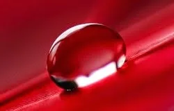 Τι σχέση έχει το κόκκινο χρώμα με την πείνα;