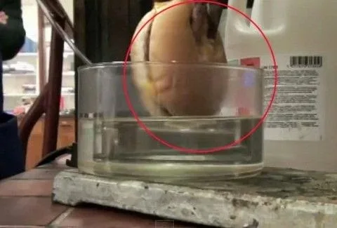 ΘΑ ΠΑΘΕΙΣ ΠΛΑΚΑ! Έτσι χωνεύουμε τα ΜΠΕΡΓΚΕΡ που τρώμε…Αηδιαστικό βίντεο [video]