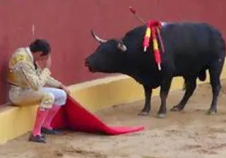 Λύγισε ο ταυρομάχος όταν κατάλαβε…[video]