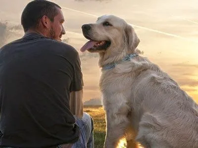 Πώς ο καλύτερος φίλος του ανθρώπου μπορεί να ανιχνεύσει τον καρκίνο του προστάτη