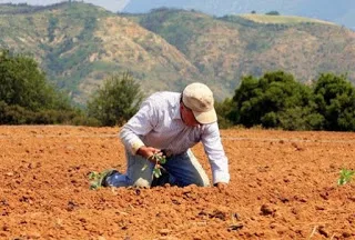 Οι δουλειές χωρίς πτυχίο που έχουν λεφτά