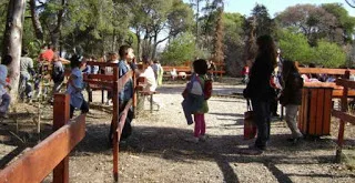 Ποια παιδιά δημοτικών υπαλλήλων έχουν δικαίωμα συμμετοχής στις κατασκηνώσεις – Όλα τα δικαιολογητικά