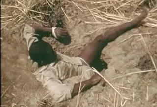 Έβαλαν άνθρωπο – δόλωμα για να πιάσουν πύθωνα – Το βίντεο που έχουν δει πάνω από 1εκ. άνθρωποι [video]