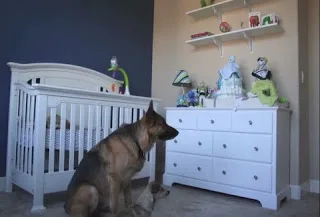 Έφτιαξε ένα βίντεο με την εγκυμοσύνη της γυναίκας του, όμως αυτό που είδε τον ΕΞΕΠΛΗΞΕ! [video]