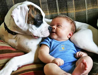 Διαβάστε το, αξίζει: Οι 10 ευχές ενός σκύλου…