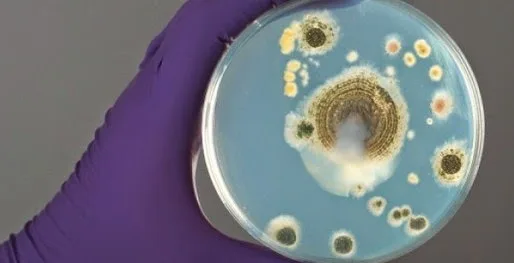 Είναι πιο βρόμικο από την λεκάνη της τουαλέτας και το ακουμπάτε κάθε μέρα