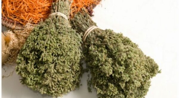 Η ρίγανη μπορεί να κάνει θαύματα και στην υγεία μας